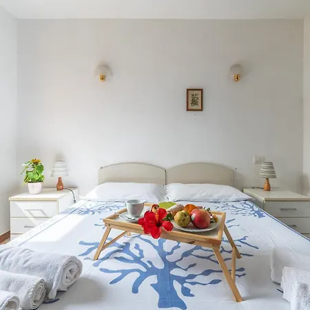 Sea-star 穆拉沃拉